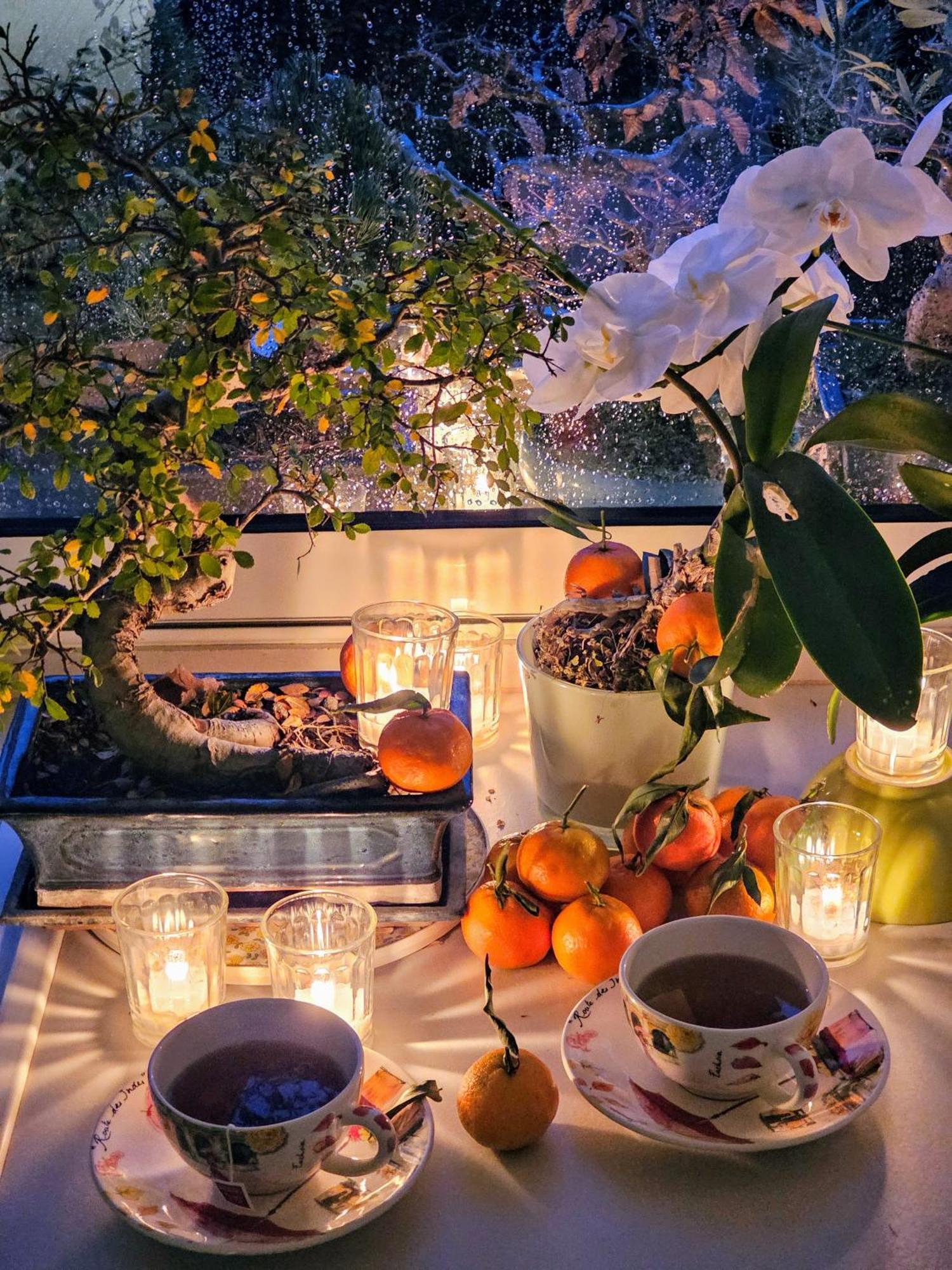 Terrasse De Malissol Apartment Vienne  Luaran gambar